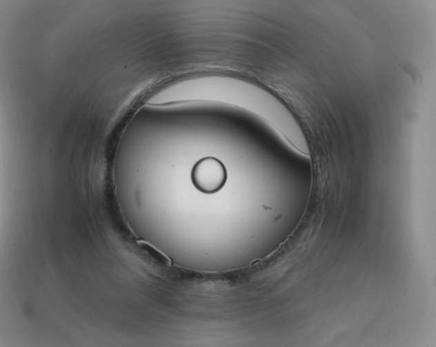 X0000113850304200910081651