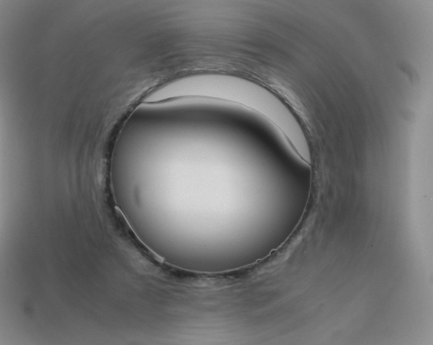 X0000113850305200910081651