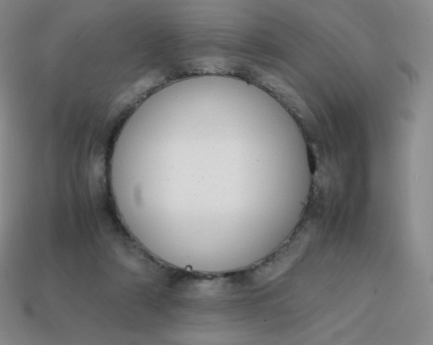 X0000113850306200910081651