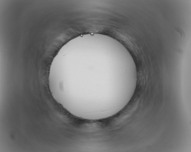 X0000113850307200910081651