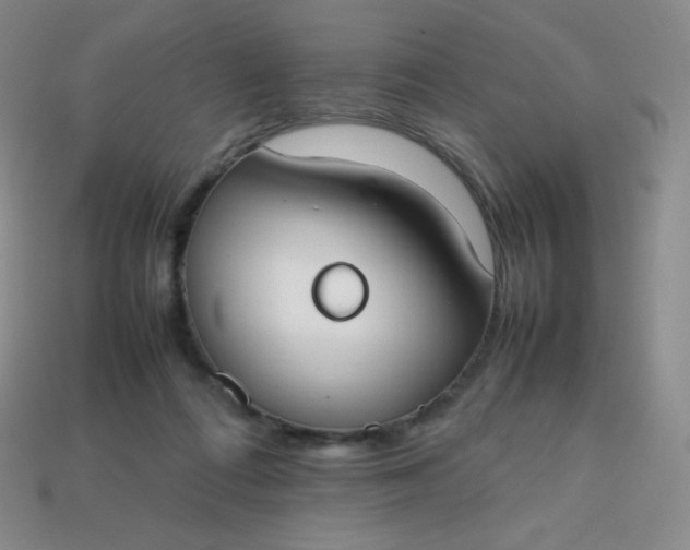 X0000113850312200910081651