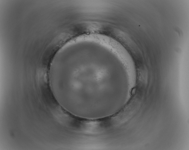 X0000113850313200910081651