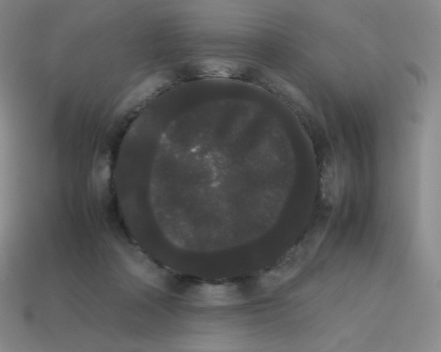 X0000113850314200910081651