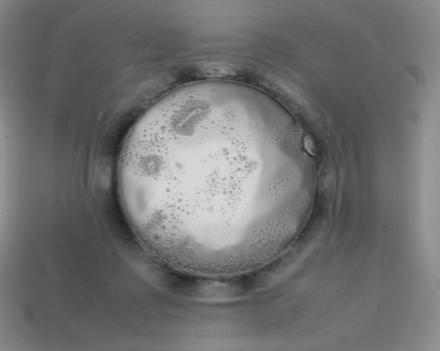 X0000113850315200910081651