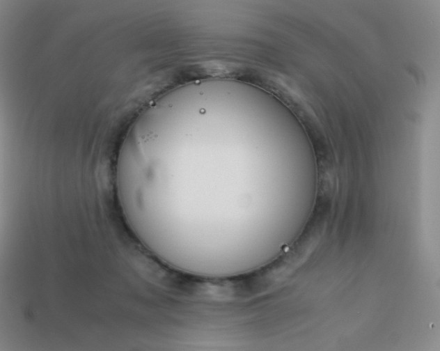 X0000113850317200910081651