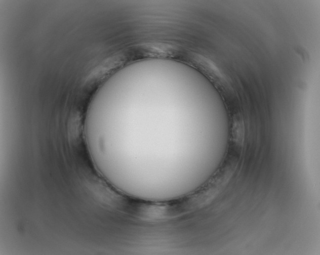 X0000113850318200910081651