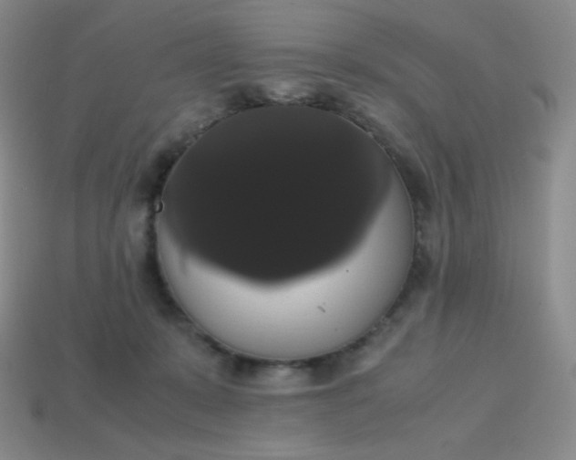 X0000113850319200910081651