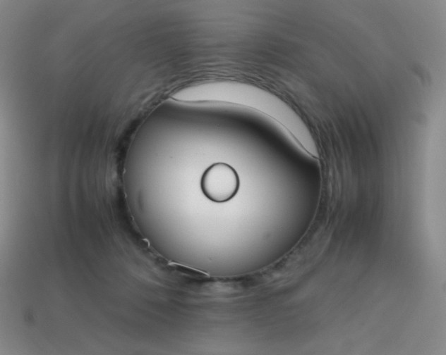 X0000113850320200910081651