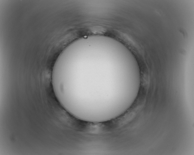 X0000113850321200910081651