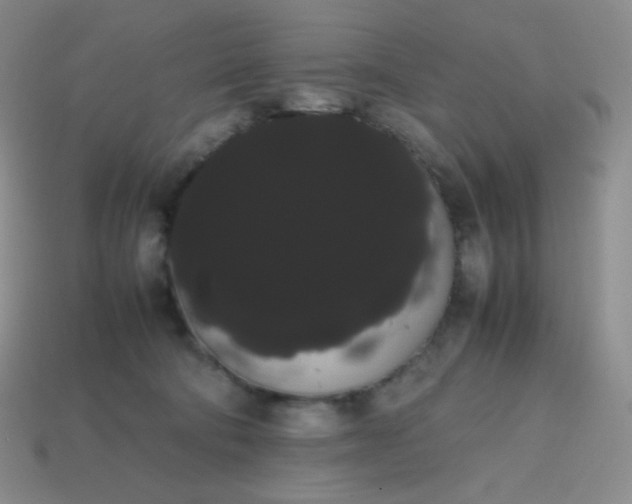 X0000113850322200910081651