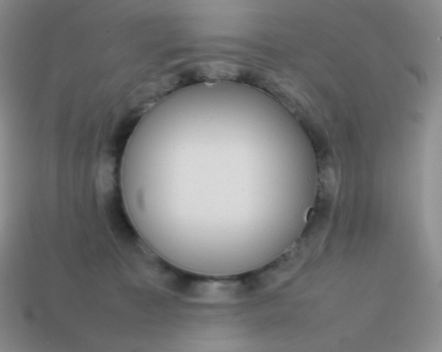 X0000113850323200910081651