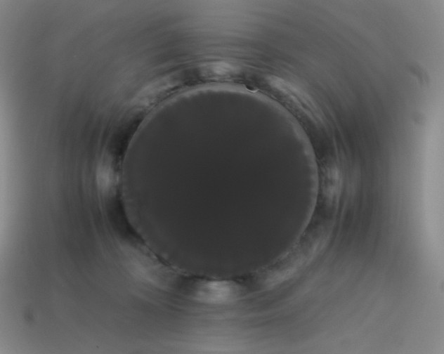 X0000113850324200910081651