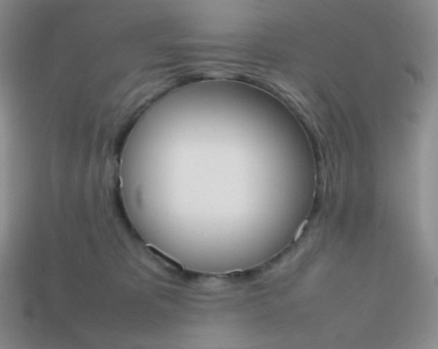 X0000113850325200910081651