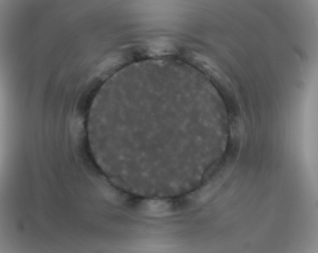 X0000113850327200910081651