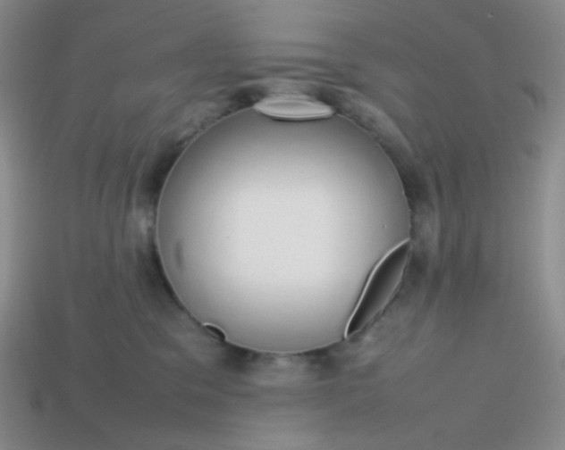 X0000113850329200910081651