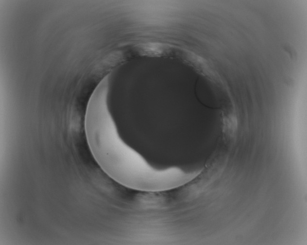 X0000113850331200910081651