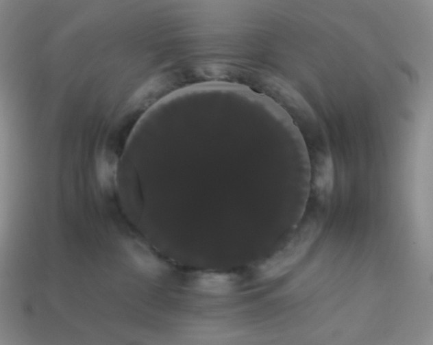 X0000113850332200910081651