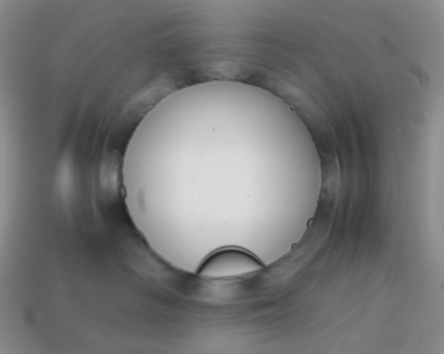 X0000113850334200910081651