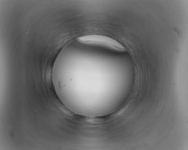 X0000113850336200910081651