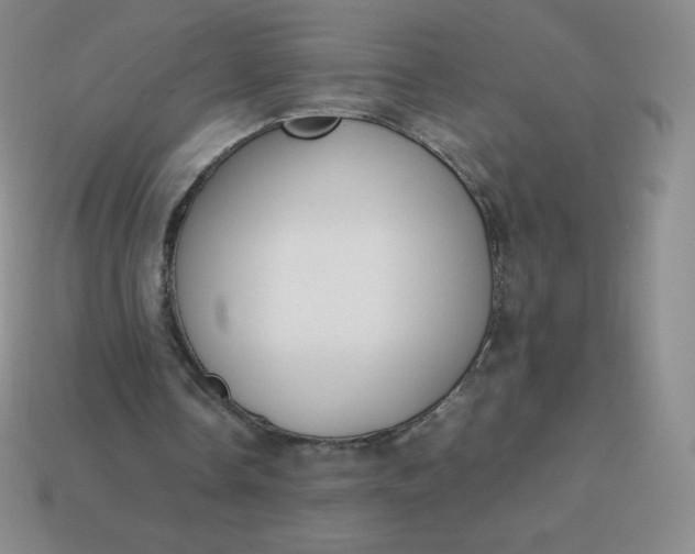 X0000113850338200910081650