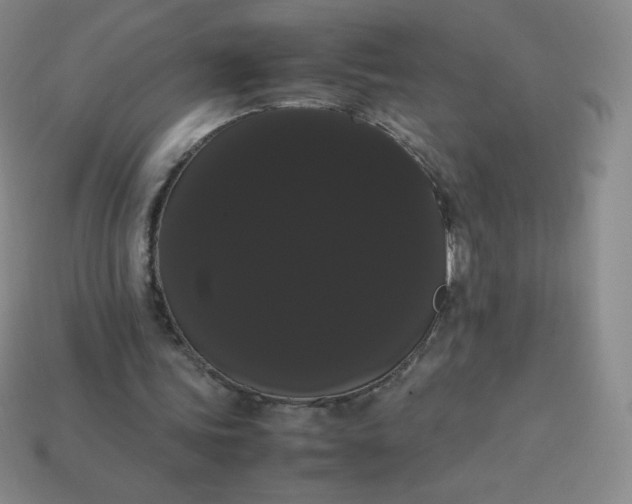 X0000113850339200910081650