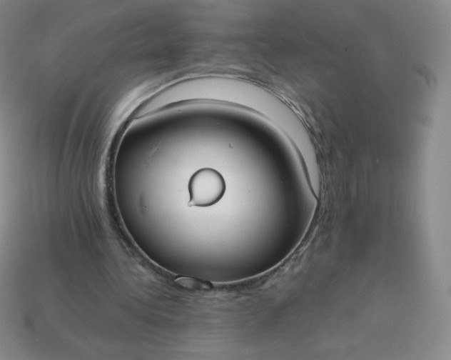 X0000113850340200910081650