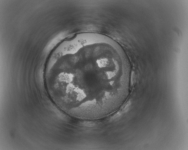 X0000113850341200910081650