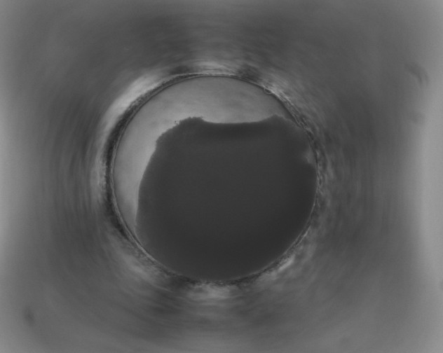 X0000113850343200910081650