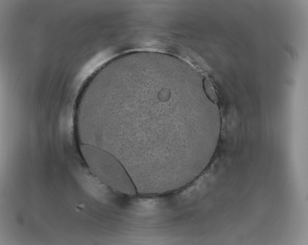 X0000113850344200910081650