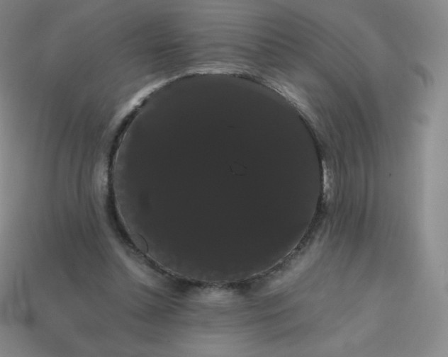 X0000113850348200910081650