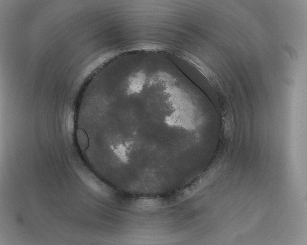 X0000113850350200910081650