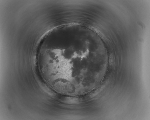 X0000113850351200910081650