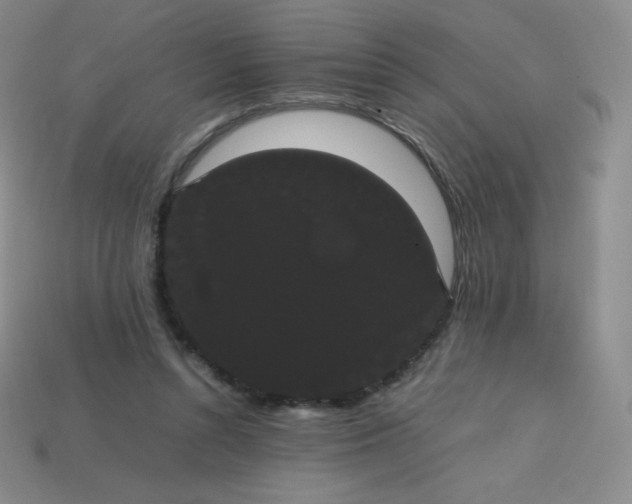 X0000113850352200910081650