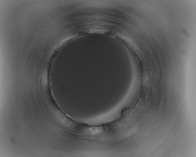 X0000113850353200910081650