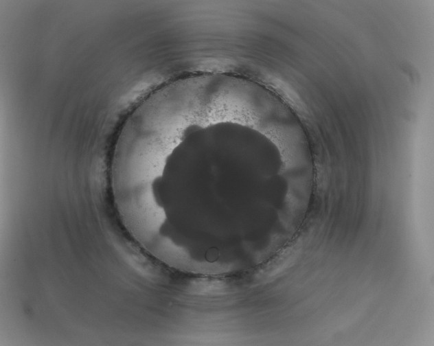 X0000113850354200910081650