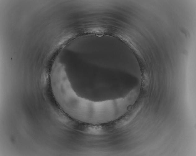 X0000113850355200910081650