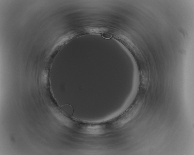 X0000113850357200910081650