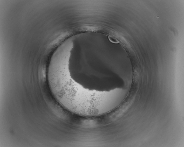 X0000113850358200910081650