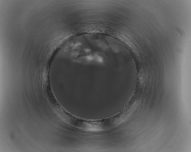 X0000113850359200910081650