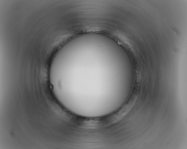 X0000113850362200910081650