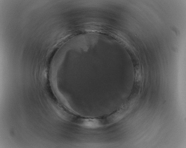 X0000113850363200910081650