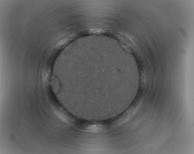 X0000113850364200910081650