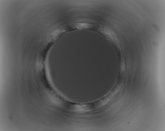 X0000113850367200910081650