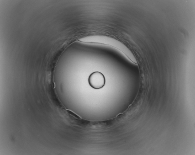 X0000113850368200910081650