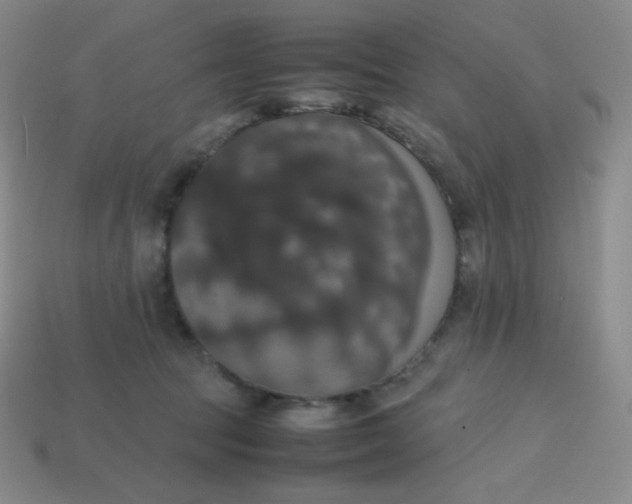 X0000113850369200910081650