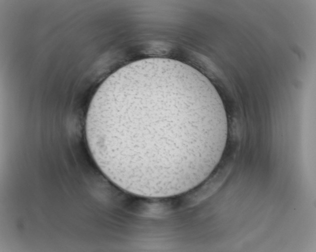 X0000113850370200910081650