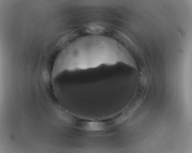 X0000113850371200910081650