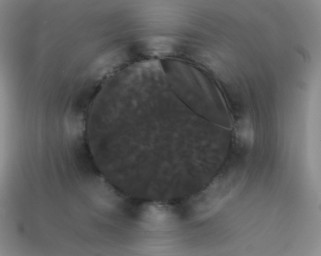 X0000113850372200910081650