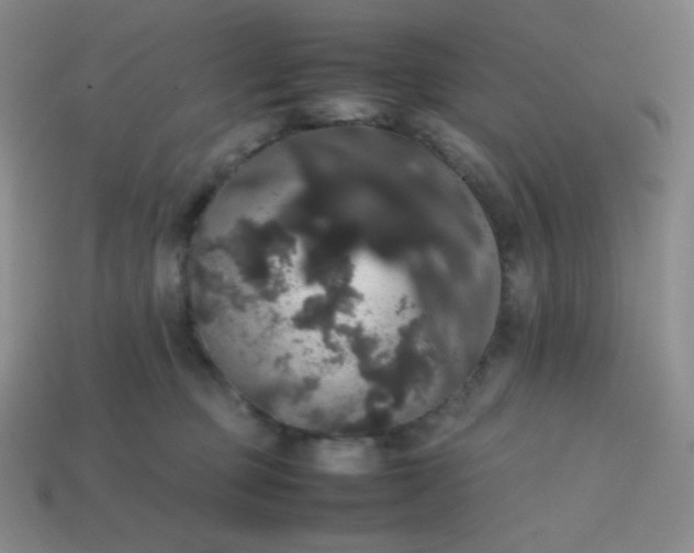 X0000113850373200910081650