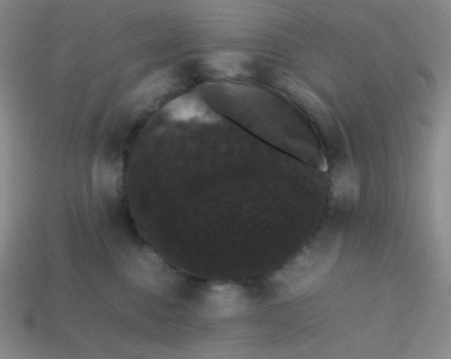 X0000113850376200910081650